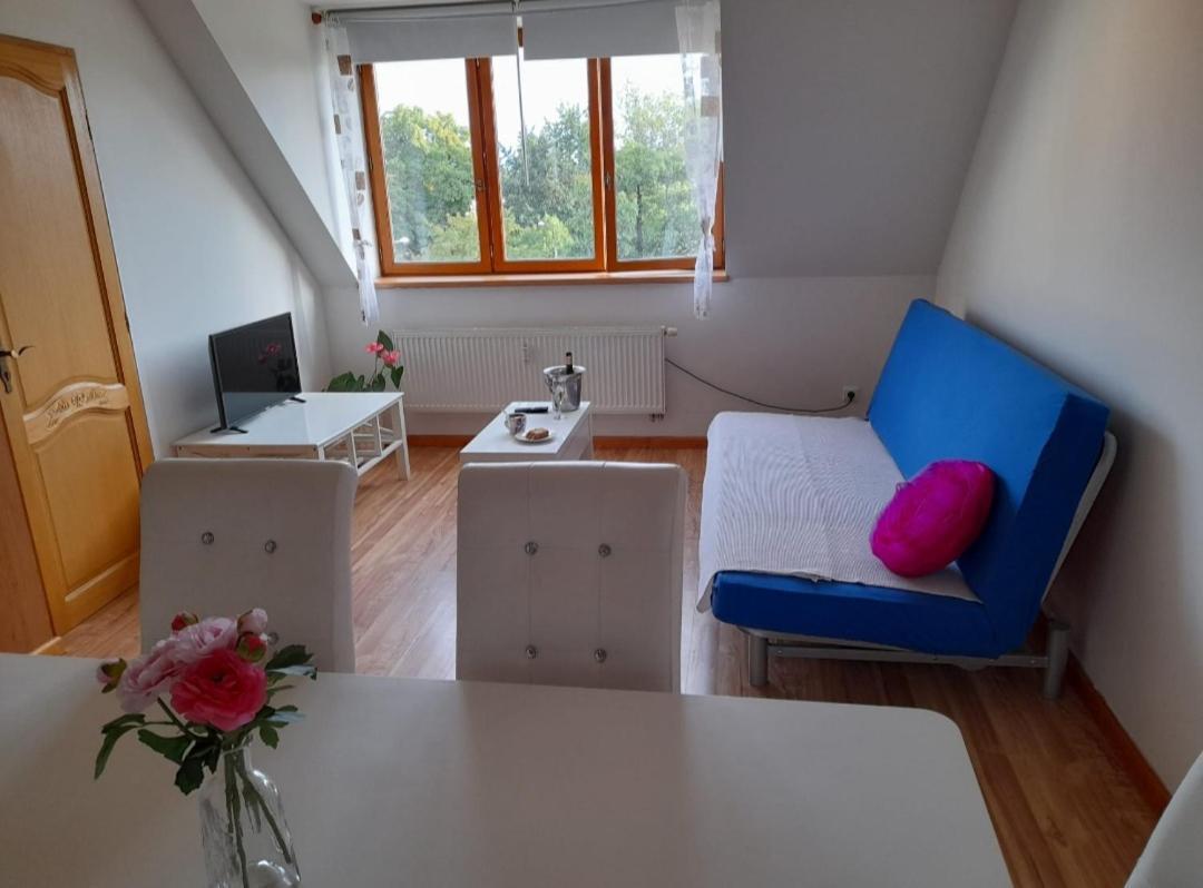 Riegrova Apartamento Ceske Budejovice Exterior foto